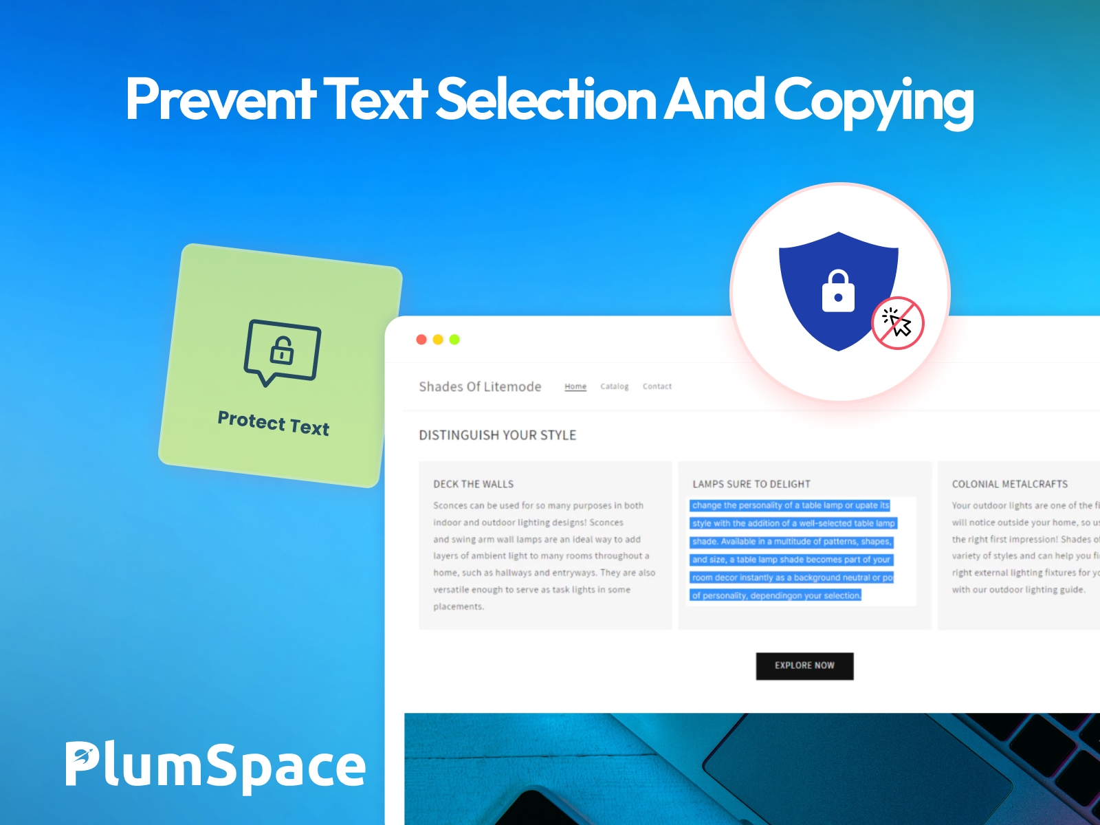 PlumSpace: Content Protection